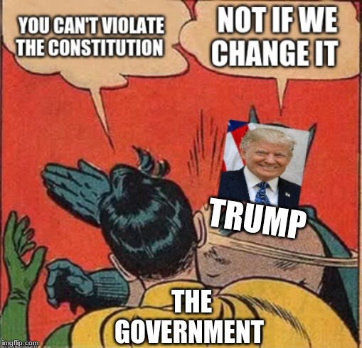 Trumps Logic | TRUMP; THE GOVERNMENT | image tagged in donald trump,trump,memes,funny,funny memes,lol | made w/ Imgflip meme maker