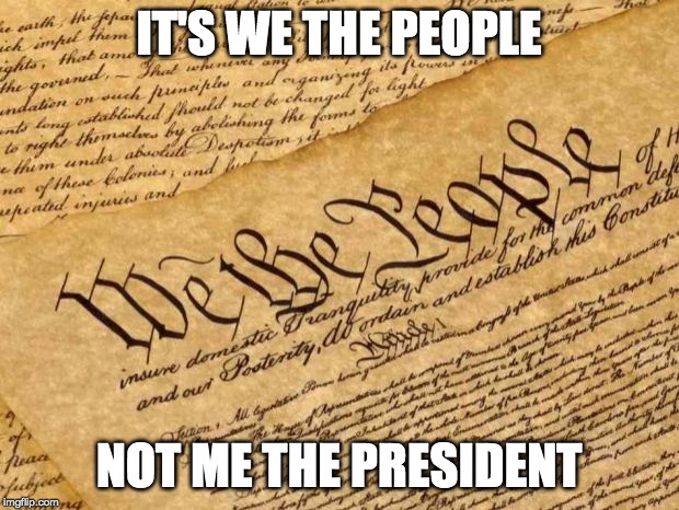 Congress needs to stand up to this tyrant! | IT'S WE THE PEOPLE; NOT ME THE PRESIDENT | image tagged in constitution,impeach trump,trump is incompetent | made w/ Imgflip meme maker
