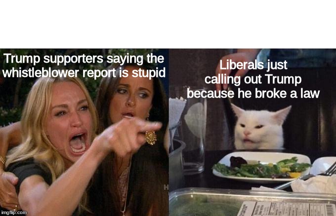 Woman Yelling At Cat | Liberals just calling out Trump because he broke a law; Trump supporters saying the whistleblower report is stupid | image tagged in two women yelling at a cat | made w/ Imgflip meme maker