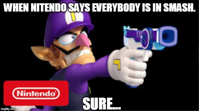 waluigi Pointing a gun | WHEN NITENDO SAYS EVERYBODY IS IN SMASH. SURE... | image tagged in waluigi pointing a gun | made w/ Imgflip meme maker