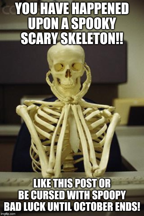 Waiting Skeleton | YOU HAVE HAPPENED UPON A SPOOKY SCARY SKELETON!! LIKE THIS POST OR BE CURSED WITH SPOOPY BAD LUCK UNTIL OCTOBER ENDS! | image tagged in waiting skeleton | made w/ Imgflip meme maker