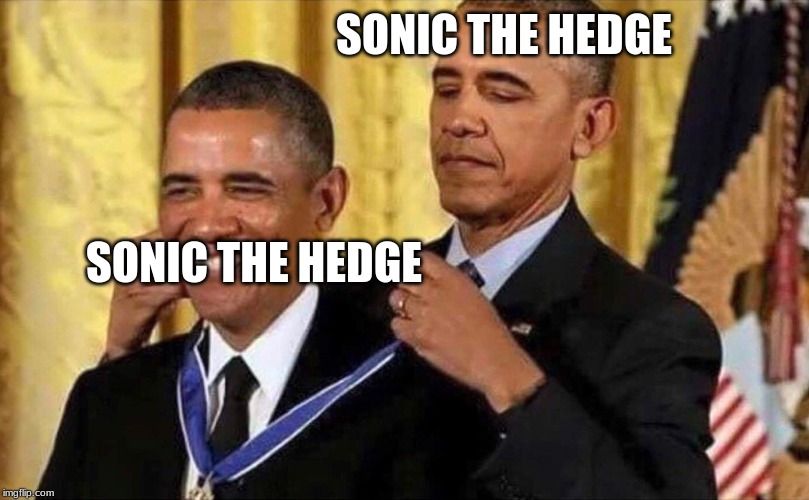 obama medal | SONIC THE HEDGE; SONIC THE HEDGE | image tagged in obama medal | made w/ Imgflip meme maker