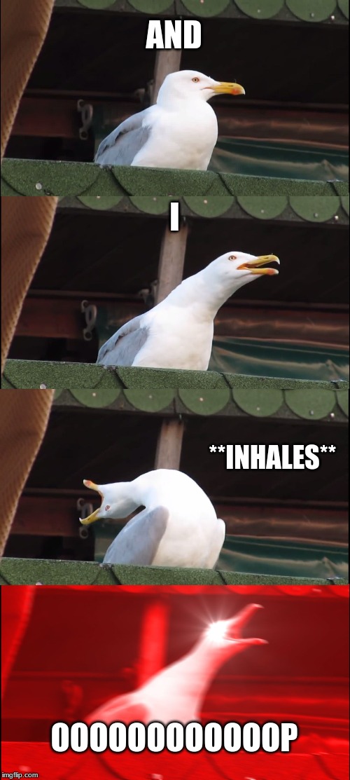 Inhaling Seagull | AND; I; **INHALES**; OOOOOOOOOOOOP | image tagged in memes,inhaling seagull | made w/ Imgflip meme maker