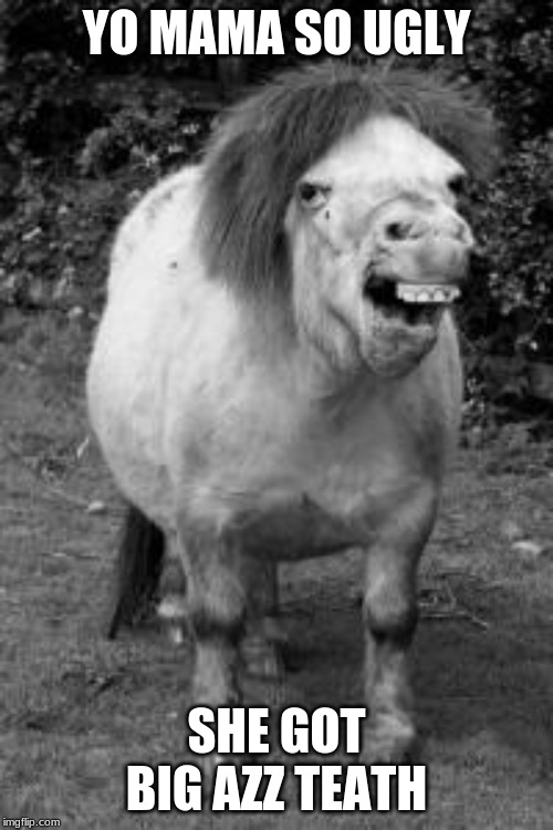 ugly horse | YO MAMA SO UGLY; SHE GOT BIG AZZ TEATH | image tagged in ugly horse | made w/ Imgflip meme maker