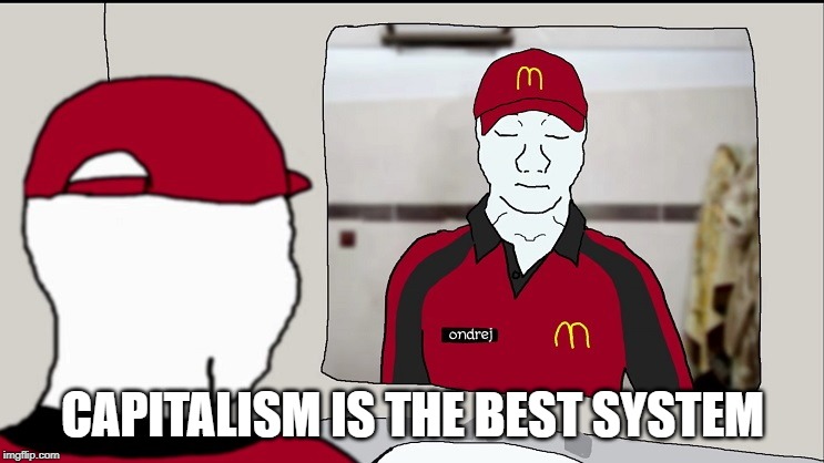 Libertarian | CAPITALISM IS THE BEST SYSTEM | image tagged in libertarian | made w/ Imgflip meme maker