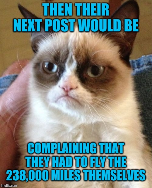 Grumpy Cat Meme | THEN THEIR NEXT POST WOULD BE COMPLAINING THAT THEY HAD TO FLY THE 238,000 MILES THEMSELVES | image tagged in memes,grumpy cat | made w/ Imgflip meme maker