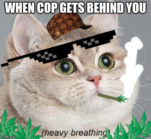 Heavy Breathing Cat | WHEN COP GETS BEHIND YOU; OO; O; MMMMMMM; O; O; ___; MMMMM | image tagged in memes,heavy breathing cat | made w/ Imgflip meme maker