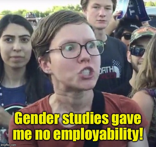 Triggered feminist | Gender studies gave me no employability! | image tagged in triggered feminist | made w/ Imgflip meme maker