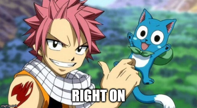 thumbs up natsu and happy | RIGHT ON | image tagged in thumbs up natsu and happy | made w/ Imgflip meme maker