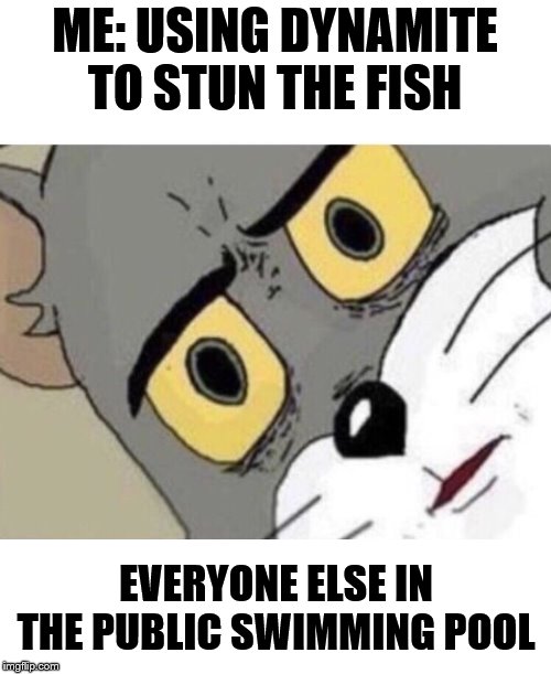 Me: Everyone else: | ME: USING DYNAMITE TO STUN THE FISH EVERYONE ELSE IN THE PUBLIC SWIMMING POOL | image tagged in me everyone else | made w/ Imgflip meme maker
