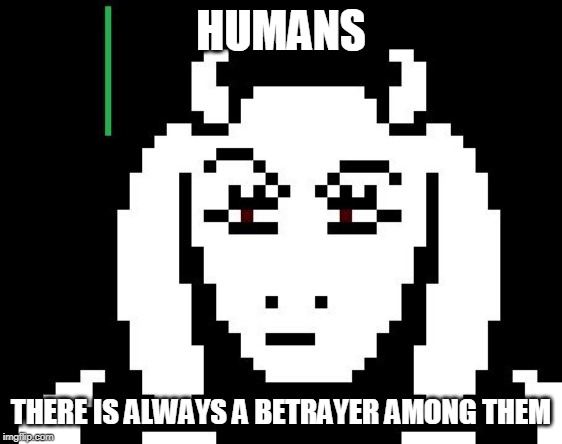 Undertale - Toriel | HUMANS; THERE IS ALWAYS A BETRAYER AMONG THEM | image tagged in undertale - toriel | made w/ Imgflip meme maker
