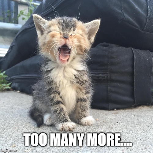 TOO MANY MORE.... | image tagged in cute cat,yawning | made w/ Imgflip meme maker