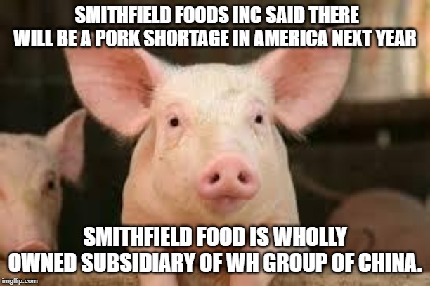 pig | SMITHFIELD FOODS INC SAID THERE WILL BE A PORK SHORTAGE IN AMERICA NEXT YEAR; SMITHFIELD FOOD IS WHOLLY OWNED SUBSIDIARY OF WH GROUP OF CHINA. | image tagged in pig | made w/ Imgflip meme maker