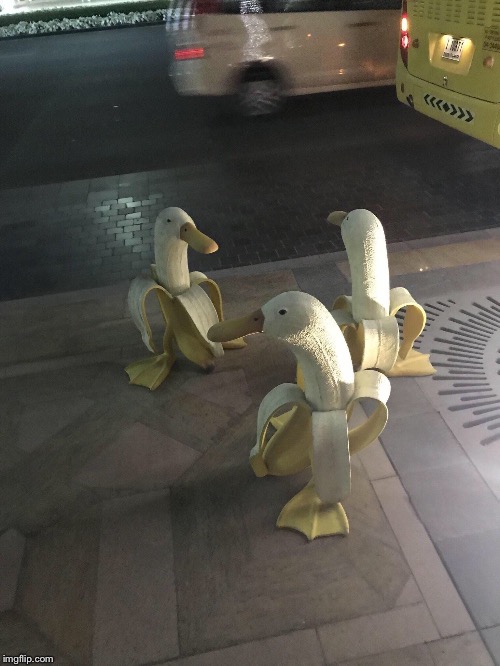 Duck banannas (repost) | made w/ Imgflip meme maker