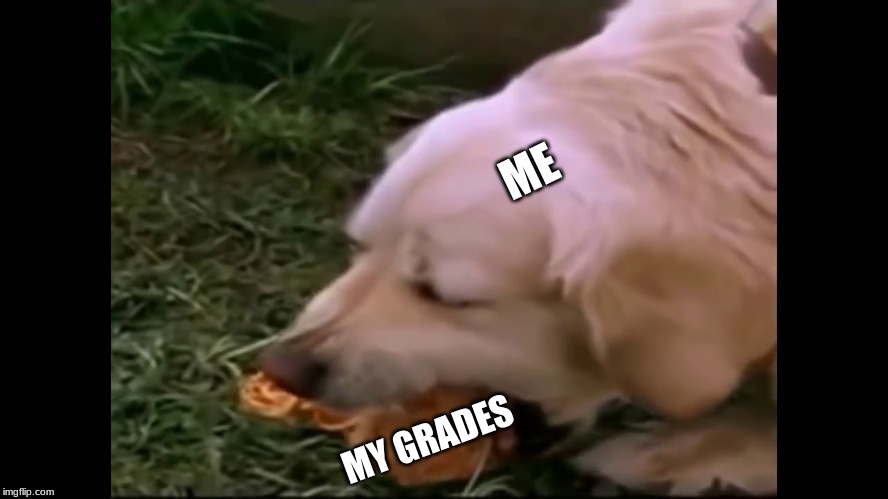 yup! | ME; MY GRADES | image tagged in fun | made w/ Imgflip meme maker