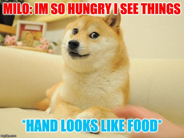 Doge 2 Meme | MILO: IM SO HUNGRY I SEE THINGS; *HAND LOOKS LIKE FOOD* | image tagged in memes,doge 2 | made w/ Imgflip meme maker