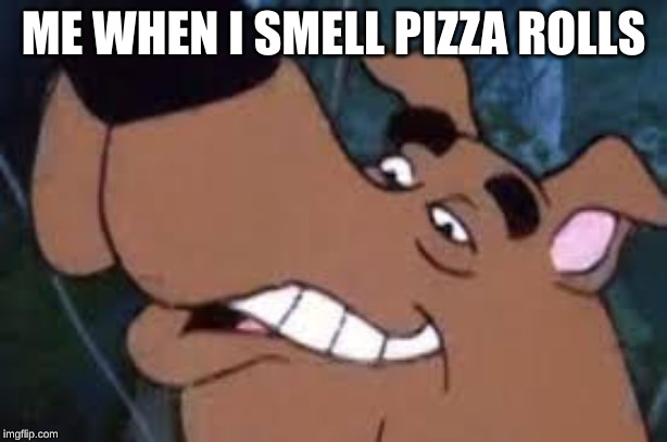 pizza | ME WHEN I SMELL PIZZA ROLLS | image tagged in pizza rolls,derp,scooby doo | made w/ Imgflip meme maker