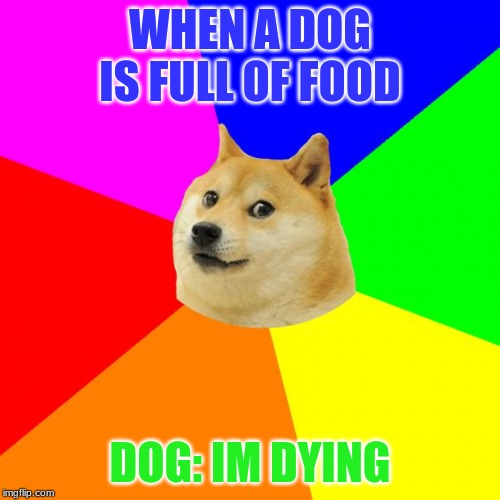 Advice Doge Meme | WHEN A DOG IS FULL OF FOOD; DOG: IM DYING | image tagged in memes,advice doge | made w/ Imgflip meme maker