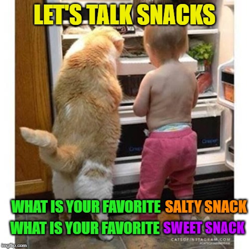 Mine are chips and salsa (salty) and baklava (sweet) | LET'S TALK SNACKS; WHAT IS YOUR FAVORITE; SALTY SNACK; WHAT IS YOUR FAVORITE; SWEET SNACK | image tagged in midnight snack,snacks | made w/ Imgflip meme maker