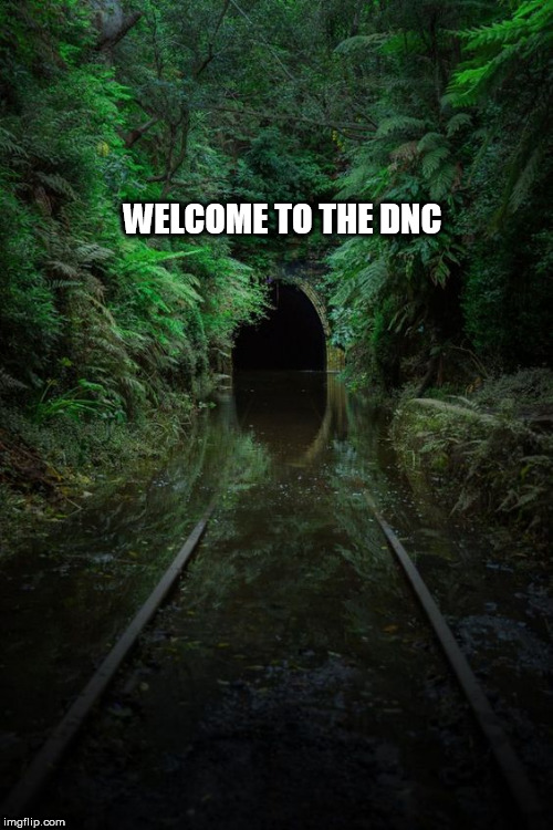 hole | WELCOME TO THE DNC | image tagged in hole | made w/ Imgflip meme maker