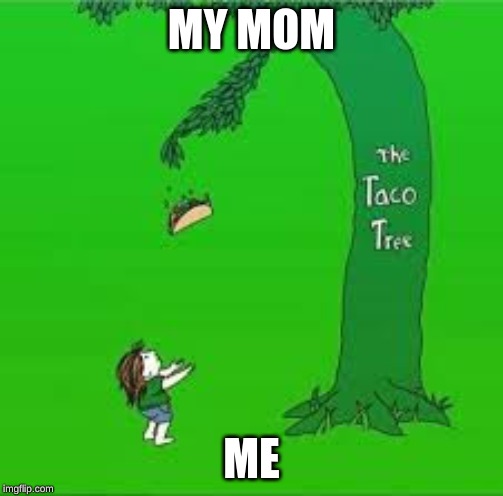 Taco night | MY MOM; ME | image tagged in mom,tacos,party | made w/ Imgflip meme maker