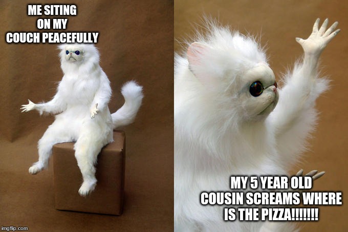 Persian Cat Room Guardian Meme | ME SITING ON MY COUCH PEACEFULLY; MY 5 YEAR OLD COUSIN SCREAMS WHERE IS THE PIZZA!!!!!!! | image tagged in memes,persian cat room guardian | made w/ Imgflip meme maker