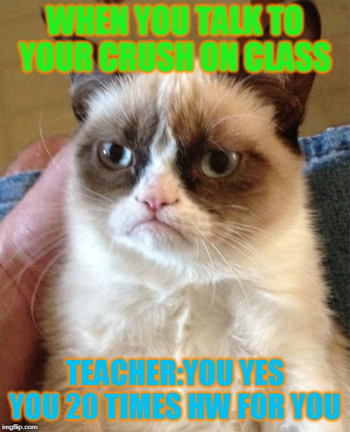 Grumpy Cat Meme | WHEN YOU TALK TO YOUR CRUSH ON CLASS; TEACHER:YOU YES YOU 20 TIMES HW FOR YOU | image tagged in memes,grumpy cat | made w/ Imgflip meme maker