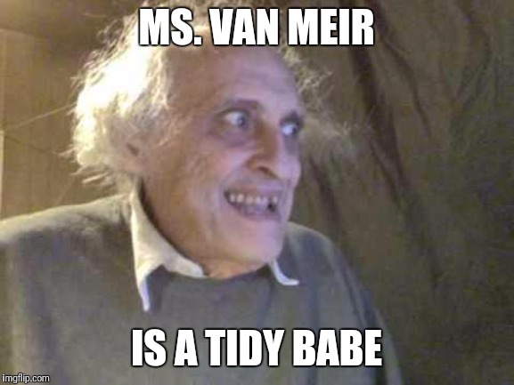 Old Pervert | MS. VAN MEIR; IS A TIDY BABE | image tagged in old pervert | made w/ Imgflip meme maker