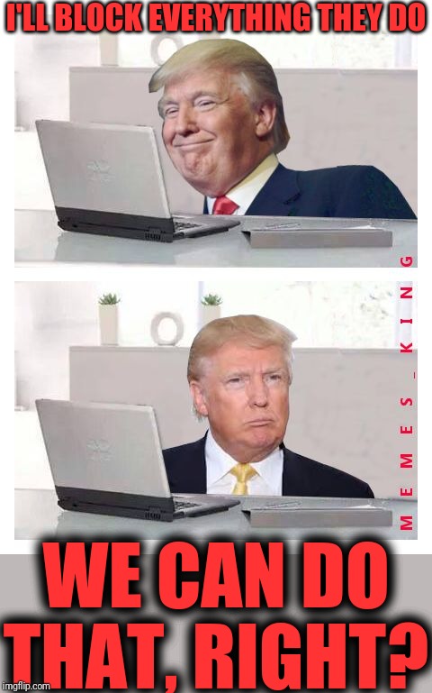 Hide The Pain Donald Trump | I'LL BLOCK EVERYTHING THEY DO WE CAN DO THAT, RIGHT? | image tagged in hide the pain donald trump | made w/ Imgflip meme maker