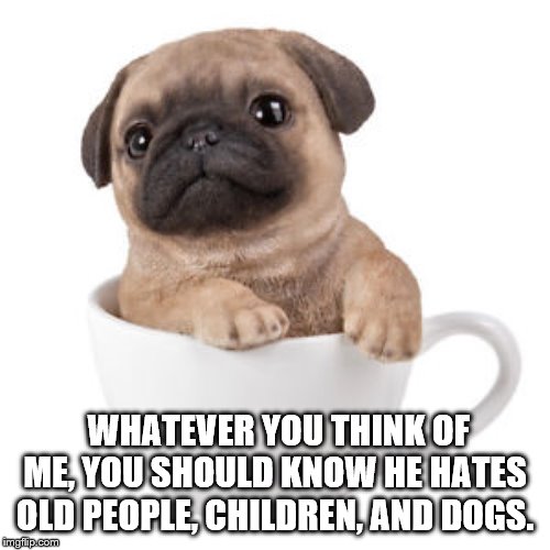 WHATEVER YOU THINK OF ME, YOU SHOULD KNOW HE HATES OLD PEOPLE, CHILDREN, AND DOGS. | made w/ Imgflip meme maker