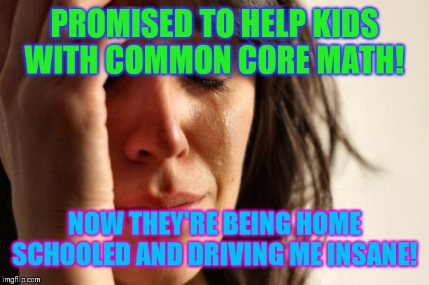 Common what? | PROMISED TO HELP KIDS WITH COMMON CORE MATH! NOW THEY'RE BEING HOME SCHOOLED AND DRIVING ME INSANE! | image tagged in memes,first world problems,common core,school,children | made w/ Imgflip meme maker