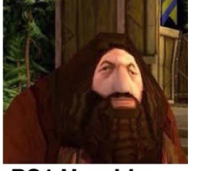 ps1 hagrid meme vertical