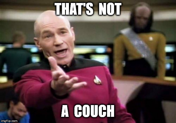 Picard Wtf Meme | THAT'S  NOT A  COUCH | image tagged in memes,picard wtf | made w/ Imgflip meme maker