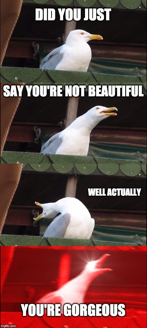 Inhaling Seagull | DID YOU JUST; SAY YOU'RE NOT BEAUTIFUL; WELL ACTUALLY; YOU'RE GORGEOUS | image tagged in memes,inhaling seagull,wholesome,i wuv you,beautiful,gorgeous | made w/ Imgflip meme maker