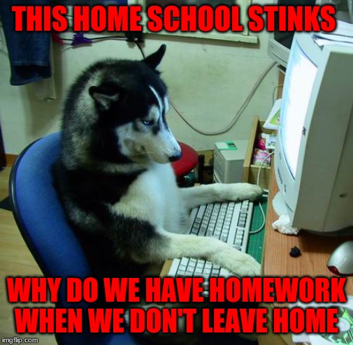 I Have No Idea What I Am Doing Meme | THIS HOME SCHOOL STINKS; WHY DO WE HAVE HOMEWORK WHEN WE DON'T LEAVE HOME | image tagged in memes,i have no idea what i am doing | made w/ Imgflip meme maker