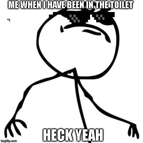like a boss | ME WHEN I HAVE BEEN IN THE TOILET; HECK YEAH | image tagged in like a boss | made w/ Imgflip meme maker