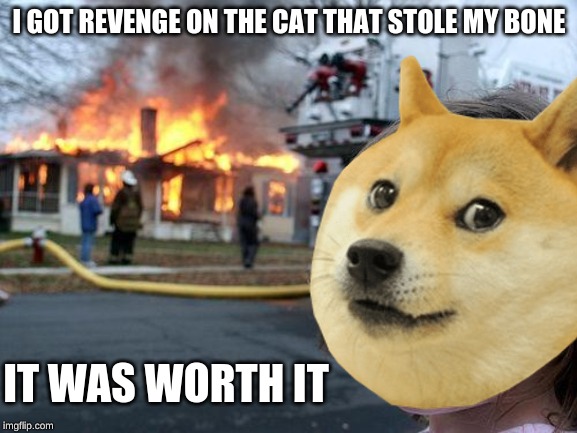 REVENGE | I GOT REVENGE ON THE CAT THAT STOLE MY BONE; IT WAS WORTH IT | image tagged in doge,cat,meme,funny | made w/ Imgflip meme maker