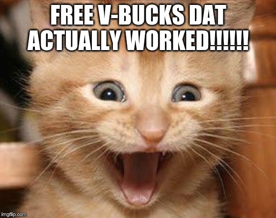 Excited Cat Meme | FREE V-BUCKS DAT ACTUALLY WORKED!!!!!! | image tagged in memes,excited cat | made w/ Imgflip meme maker