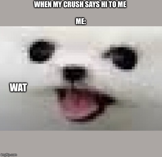 WHEN MY CRUSH SAYS HI TO ME 
          

ME:; WAT | image tagged in doge,twat | made w/ Imgflip meme maker