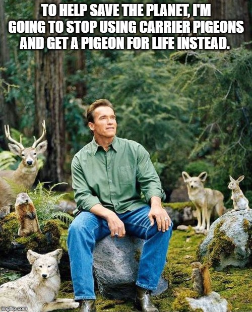 Arnold nature | TO HELP SAVE THE PLANET, I'M GOING TO STOP USING CARRIER PIGEONS AND GET A PIGEON FOR LIFE INSTEAD. | image tagged in arnold nature | made w/ Imgflip meme maker