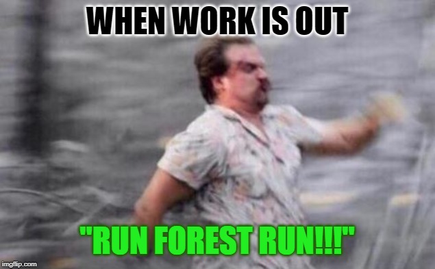 Hopper Run | WHEN WORK IS OUT; "RUN FOREST RUN!!!" | image tagged in hopper run | made w/ Imgflip meme maker
