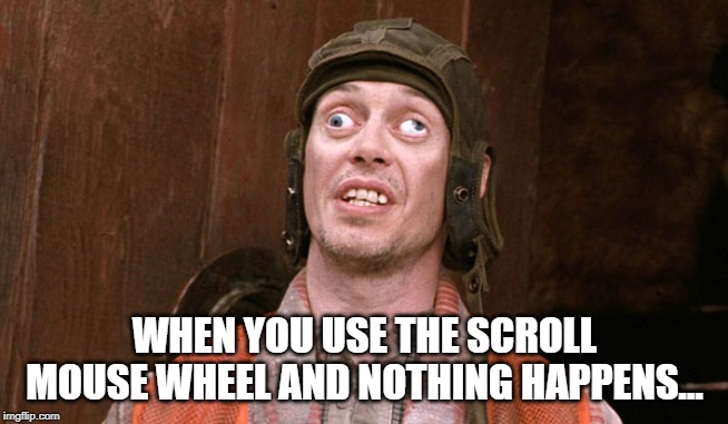 Crosseyed Steve buscemi | WHEN YOU USE THE SCROLL MOUSE WHEEL AND NOTHING HAPPENS... | image tagged in crosseyed steve buscemi | made w/ Imgflip meme maker