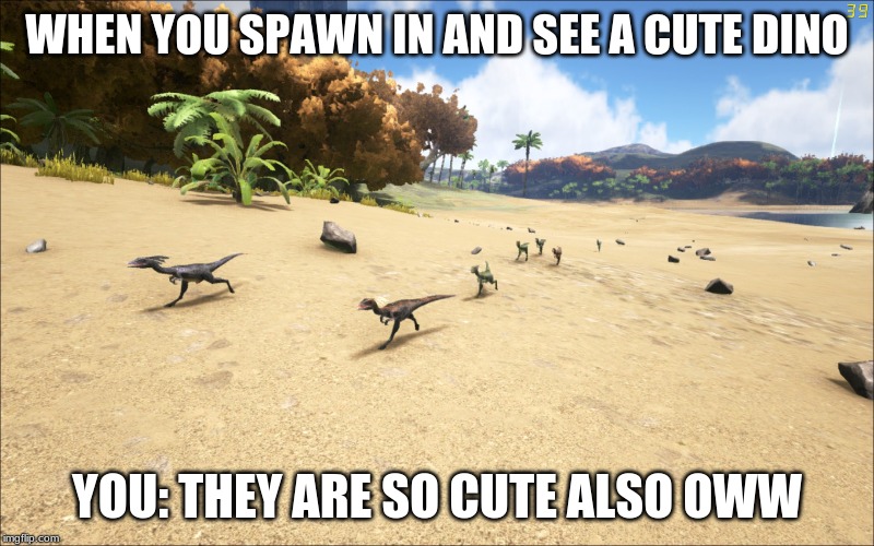 Ark survival evolved | WHEN YOU SPAWN IN AND SEE A CUTE DINO; YOU: THEY ARE SO CUTE ALSO OWW | image tagged in ark survival evolved | made w/ Imgflip meme maker