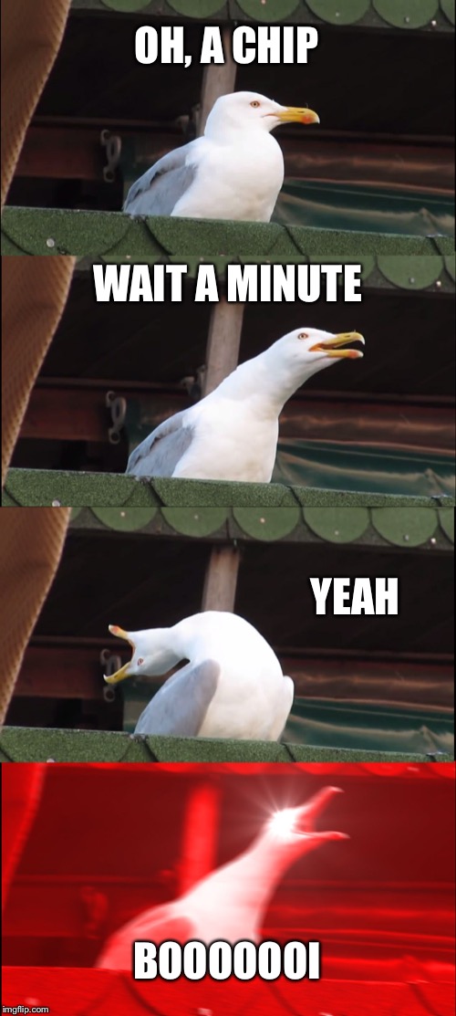 Inhaling Seagull | OH, A CHIP; WAIT A MINUTE; YEAH; BOOOOOOI | image tagged in memes,inhaling seagull | made w/ Imgflip meme maker