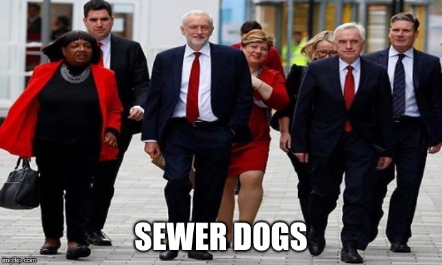 You can't polish a turd | SEWER DOGS | image tagged in corbyn's labour | made w/ Imgflip meme maker