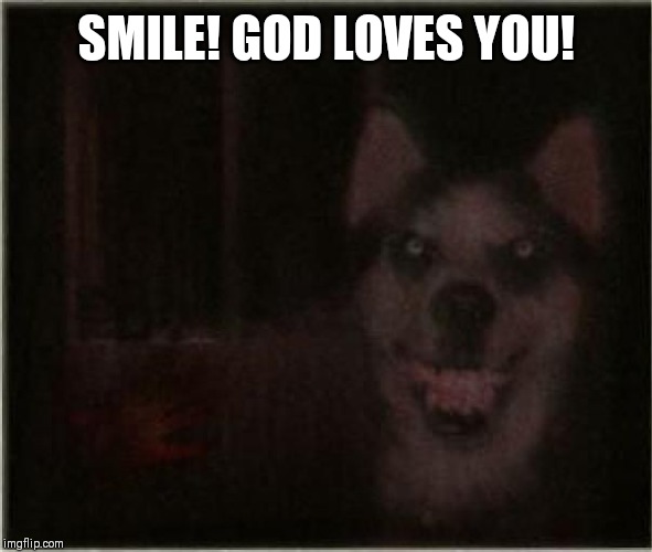 smile dog | SMILE! GOD LOVES YOU! | image tagged in smile dog | made w/ Imgflip meme maker