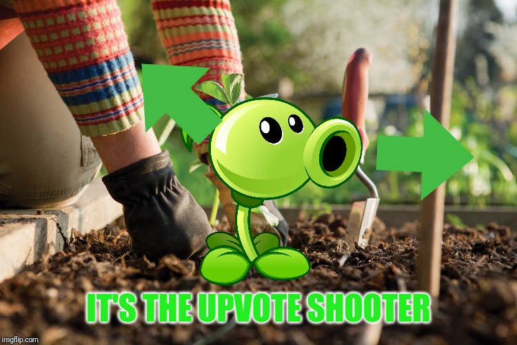 Gardening | IT'S THE UPVOTE SHOOTER | image tagged in gardening,peashooter,pvz,upvote,memes | made w/ Imgflip meme maker