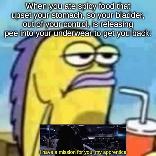 When you ate spicy food that upset your stomach, so your bladder, out of your control, is releasing pee into your underwear to get you back:; I have a mission for you, my apprentice | image tagged in memes,life | made w/ Imgflip meme maker