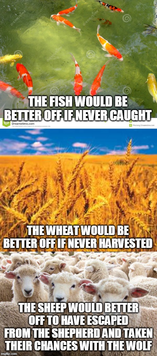 THE FISH WOULD BE BETTER OFF IF NEVER CAUGHT; THE WHEAT WOULD BE BETTER OFF IF NEVER HARVESTED; THE SHEEP WOULD BETTER OFF TO HAVE ESCAPED FROM THE SHEPHERD AND TAKEN THEIR CHANCES WITH THE WOLF | image tagged in fish,wheat,sheep,religion,hell,abrahamic religions | made w/ Imgflip meme maker