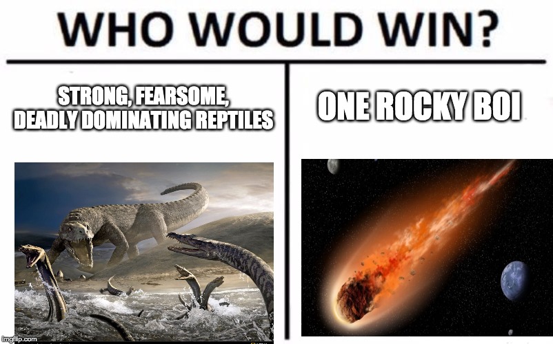 Who Would Win? Meme | ONE ROCKY BOI; STRONG, FEARSOME, DEADLY DOMINATING REPTILES | image tagged in memes,who would win | made w/ Imgflip meme maker